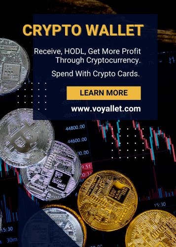 https://voyallet.com