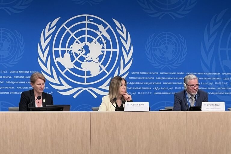 New UN Climate Report Stresses Urgent Need for Global Action